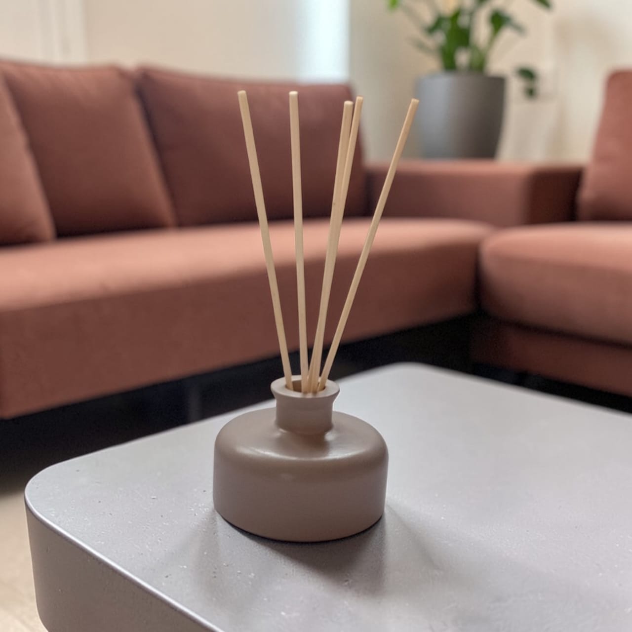 Short Round Reed Fragrance Diffuser