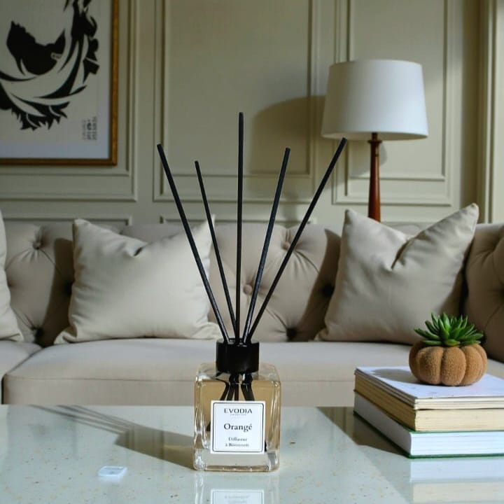 Orange Stick Diffuser