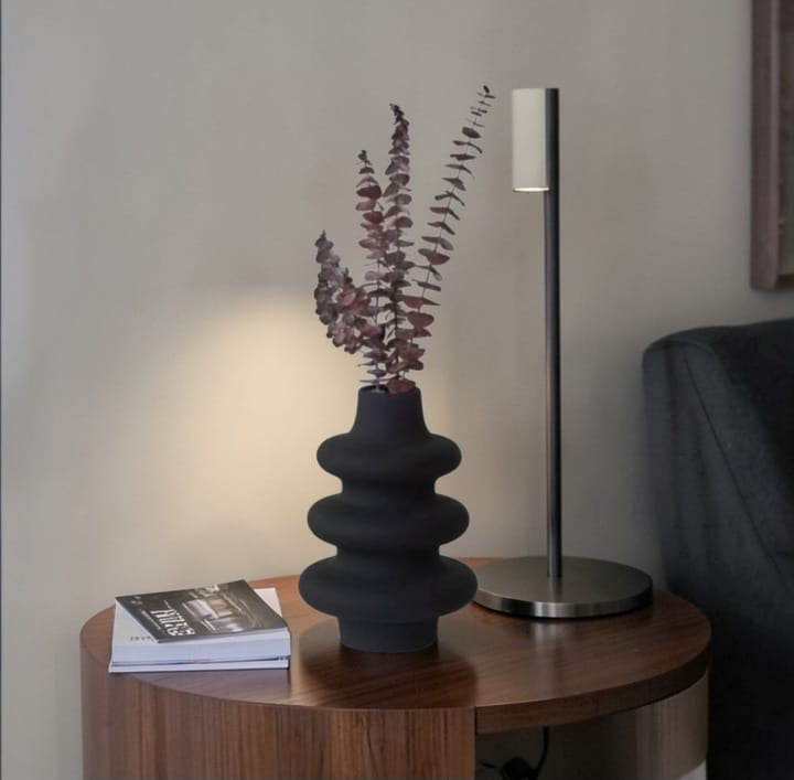 Vase à Courbes